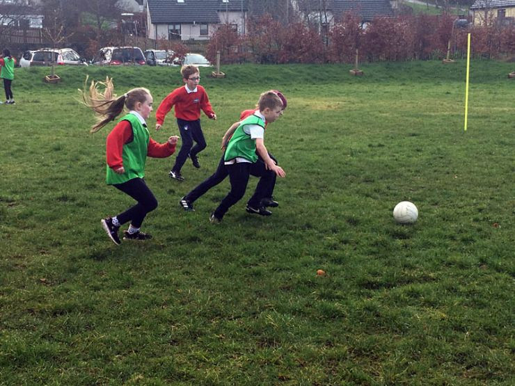 Gaelscoil na Cruaiche Picture